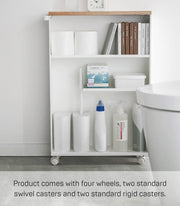 Multi-Tier Rolling Storage Rack