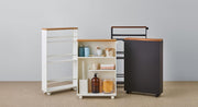 Multi-Tier Rolling Storage Rack