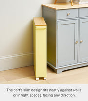 Multi-Tier Rolling Storage Rack